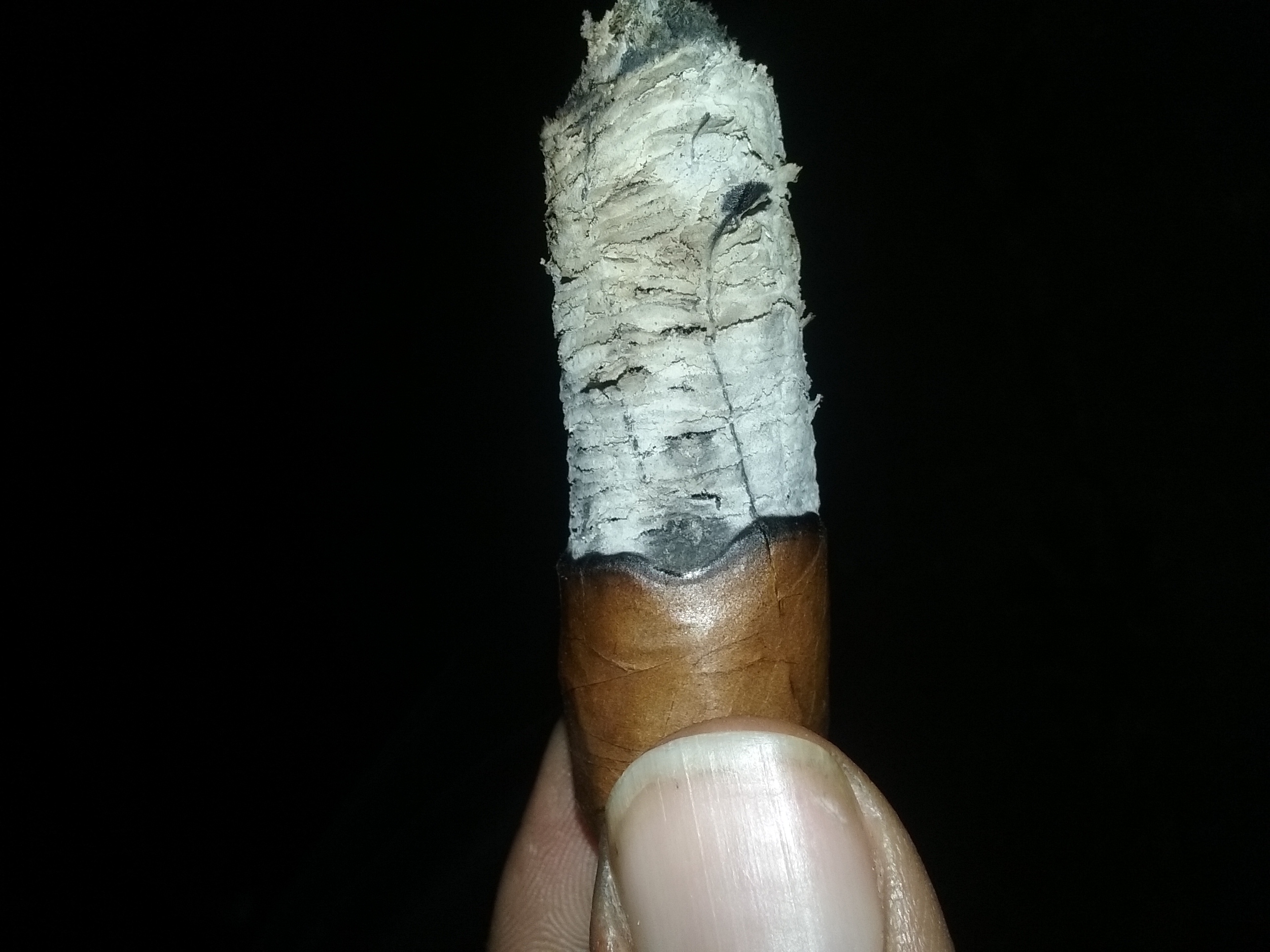 Isabella Sparkle Robusto