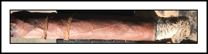 CAO Amazon Anaconda 3