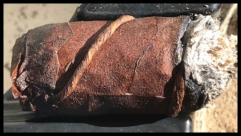 CAO Amazon Anaconda 4