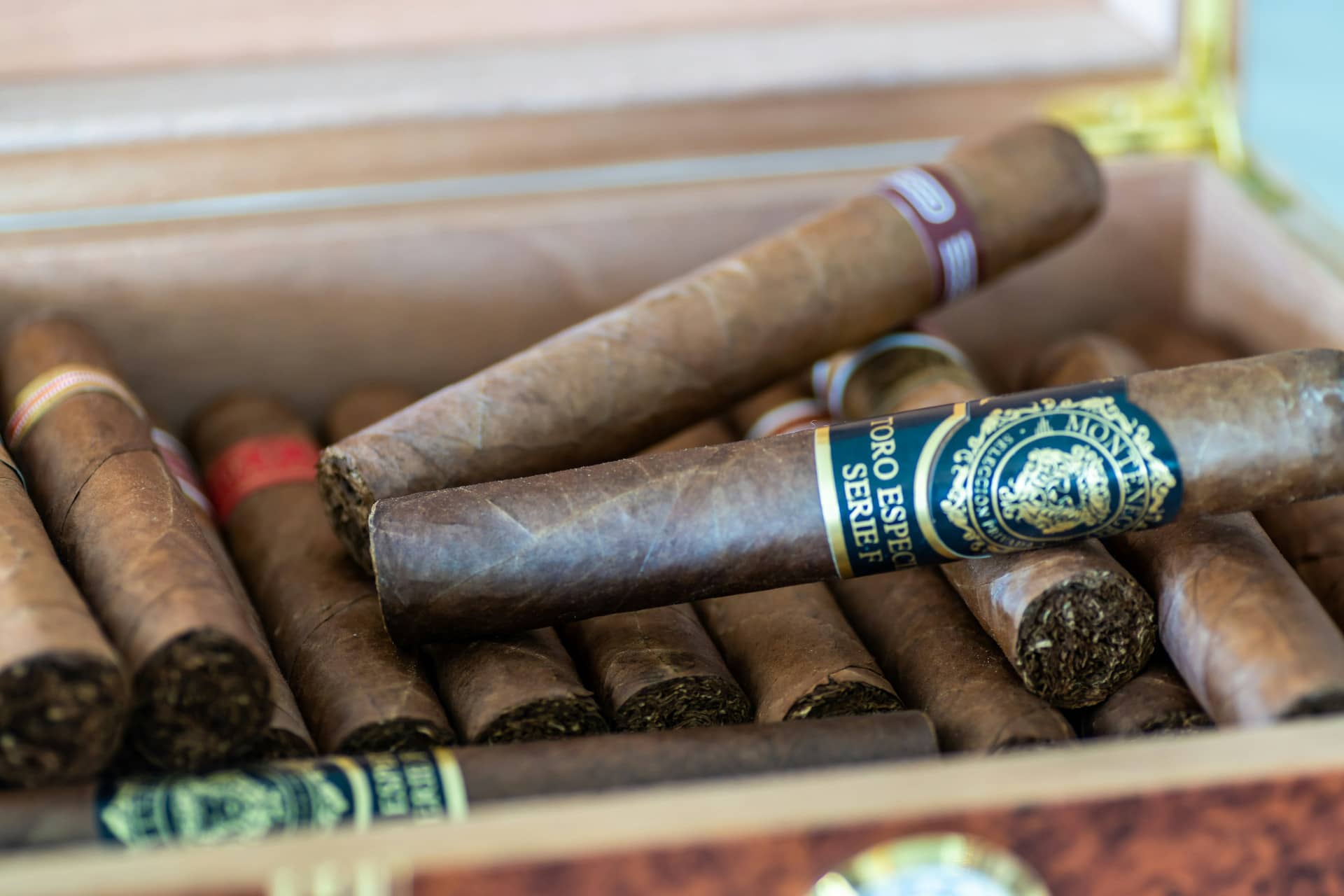 Cigar Reviews